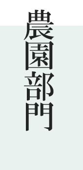 ٹ̳ŹࡡĻԡ纬